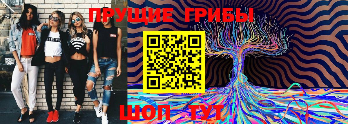 Острогожск  купить   Вход с VPN  Псилоцибиновые грибы прущие грибы 